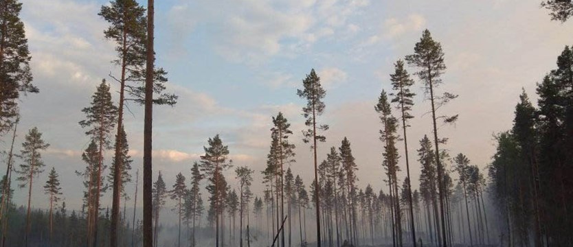 Polscy strażacy w Szwecji: Pożar został opanowany. Przechodzimy do ataku