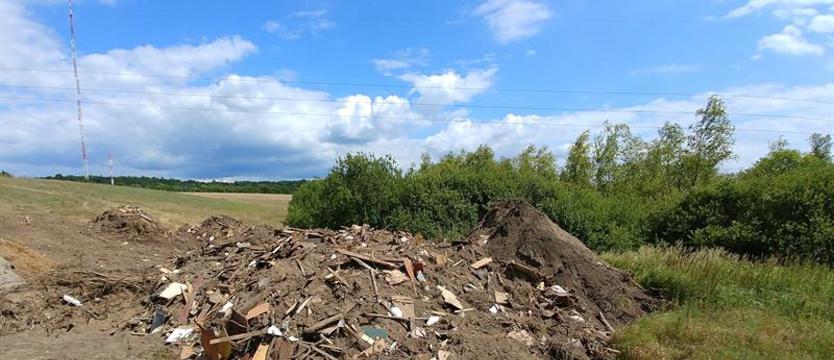 Czy odpady zaszkodzą kumakowi?