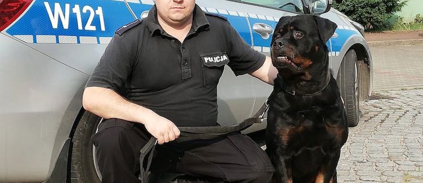 Imur odnalazł zaginionego mężczyznę