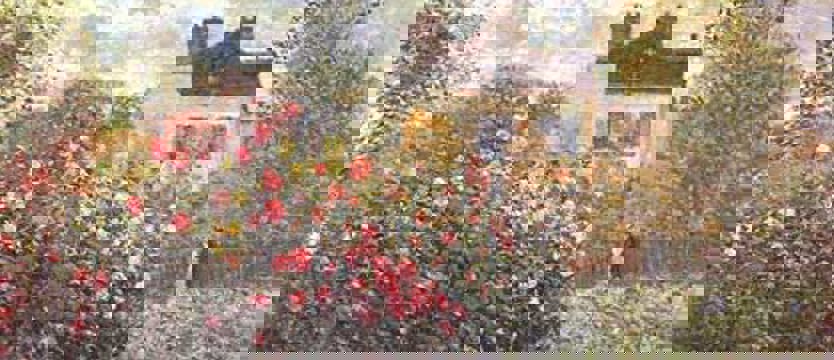 Wśród dzieł sztuki i przyrody. Portrety ogrodów