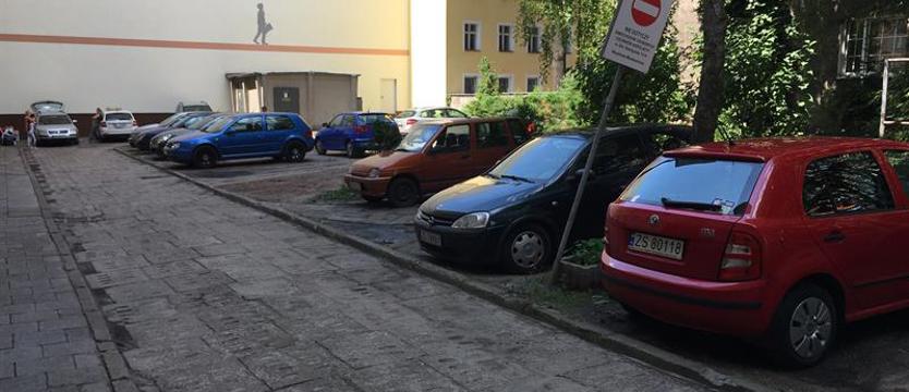 Półmetek zielonych programów Szczecina