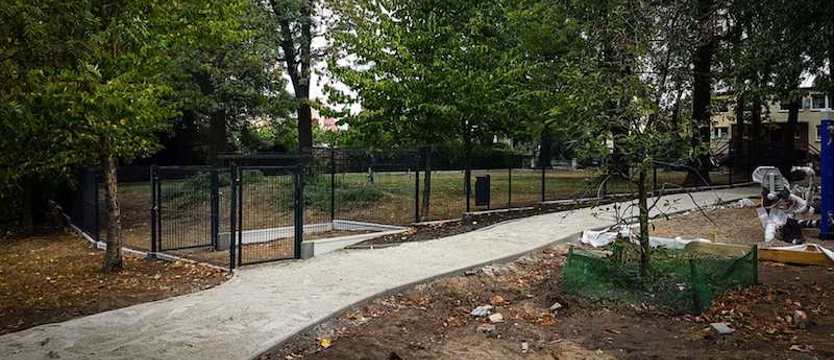 Pierwszy wybieg dla psów na Gumieńcach