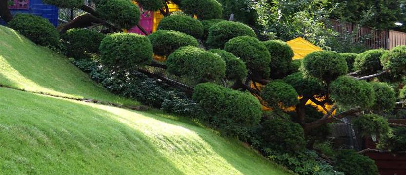 Wyzwanie przed wielkim finałem