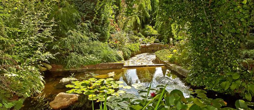 Wybieraj, głosuj, rządź!