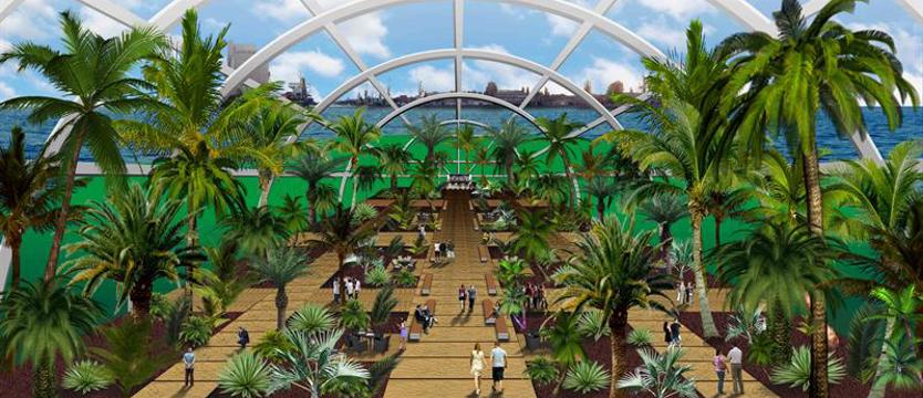 Kolejny pomysł radnego Stankiewicza – palmiarnia na Wyspie Grodzkiej