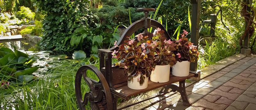 Cały Szczecin w kwiatach. Czas ocen i głosowań na najlepszych