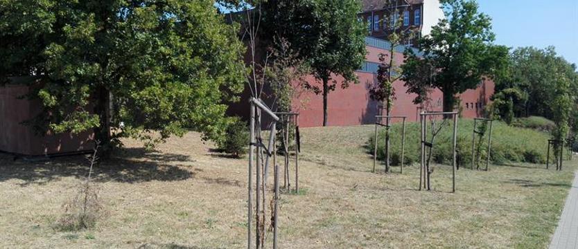 Tu zaszła (zła) zmiana