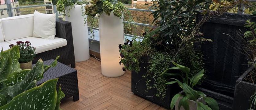 Cały Szczecin w kwiatach. Zieleń w roli głównej