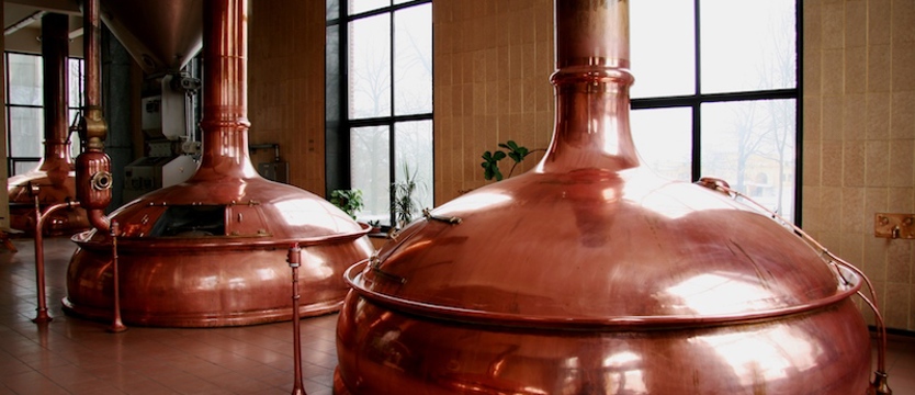 KONKURS. Browar Bosman zaprasza. Wygraj wejściówkę!