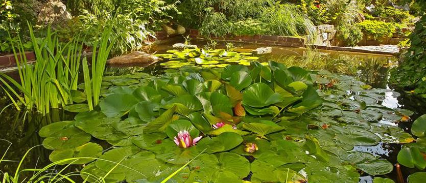 Nagroda publiczności czeka. Głosuj póki czas!