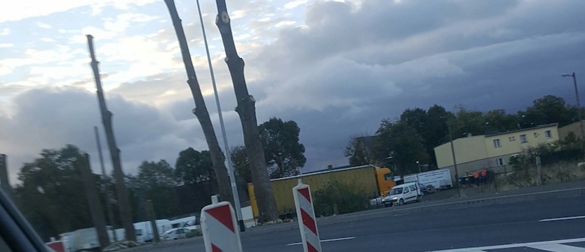 NAPISZ DO NAS. Niewiele zostało z drzew