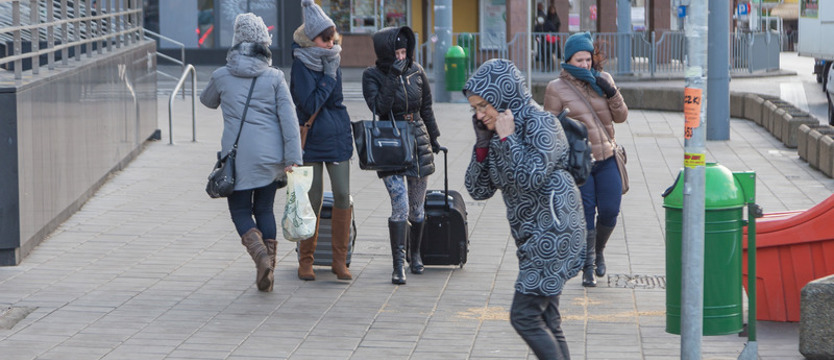 Wichura w regionie. Ostrzeżenia dla wszystkich powiatów