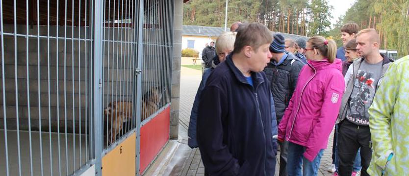 Z sercem dla zwierzaków