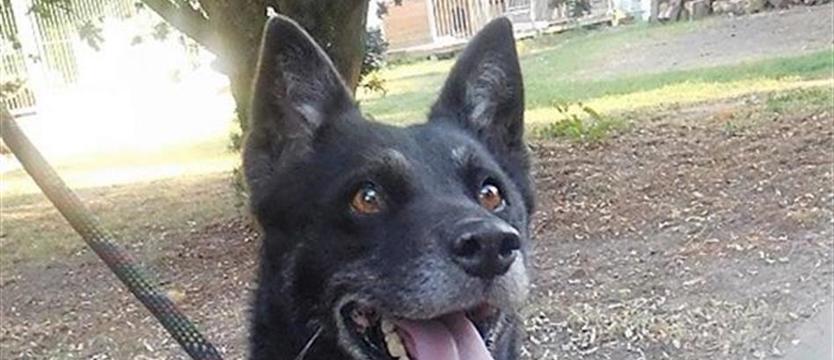 Salma, czyli jak być kochaną