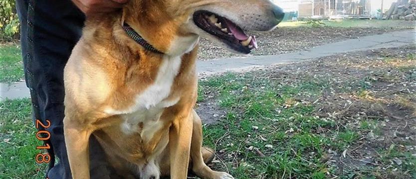 Max, czyli moc pozytywnej energii