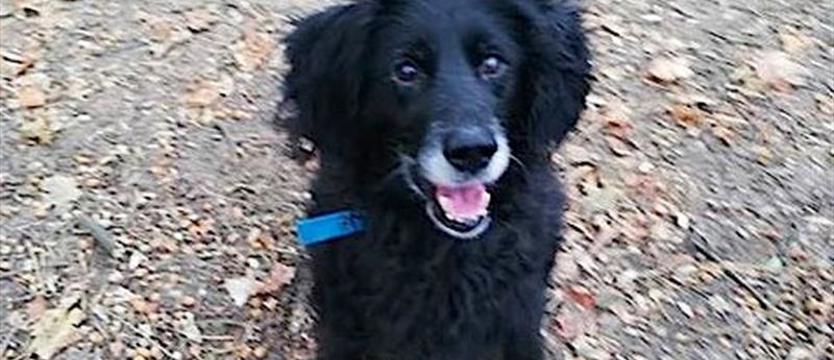 Ami, czyli życie po życiu