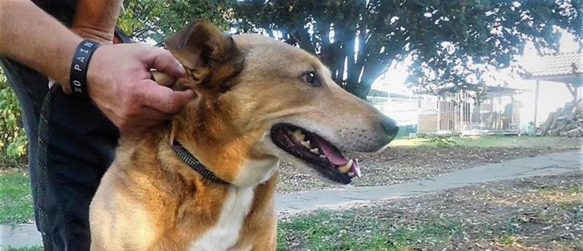 Max, czyli moc pozytywnej energii