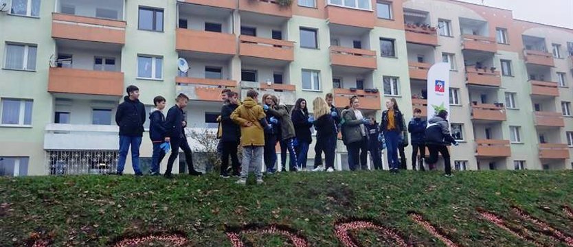 Przyjaciele Krokusowej Rewolucji