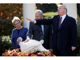 Trump ułaskawił indyki z okazji Święta Dziękczynienia
