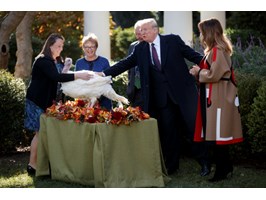 Trump ułaskawił indyki z okazji Święta Dziękczynienia