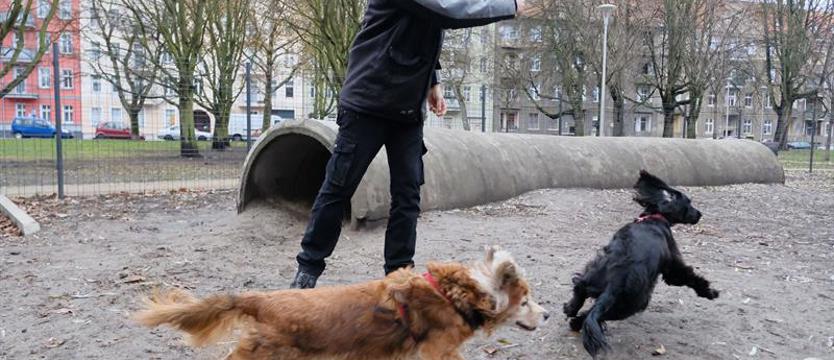 (Nie)wiele potrzeba do szczęścia