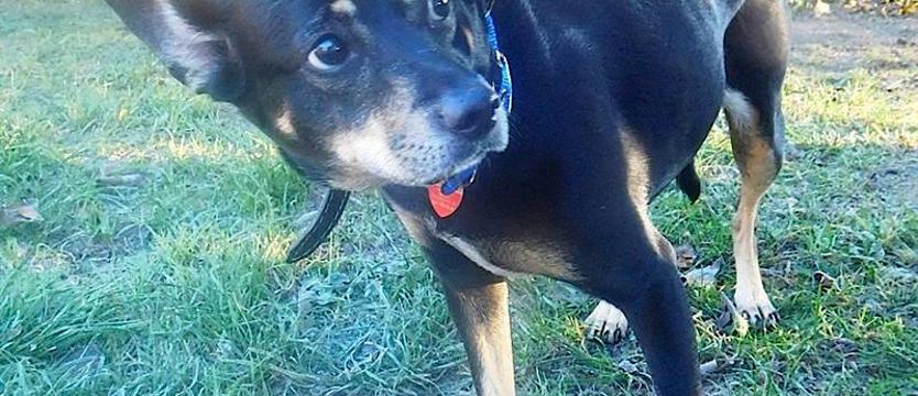 Sonia na (życiowym) zakręcie