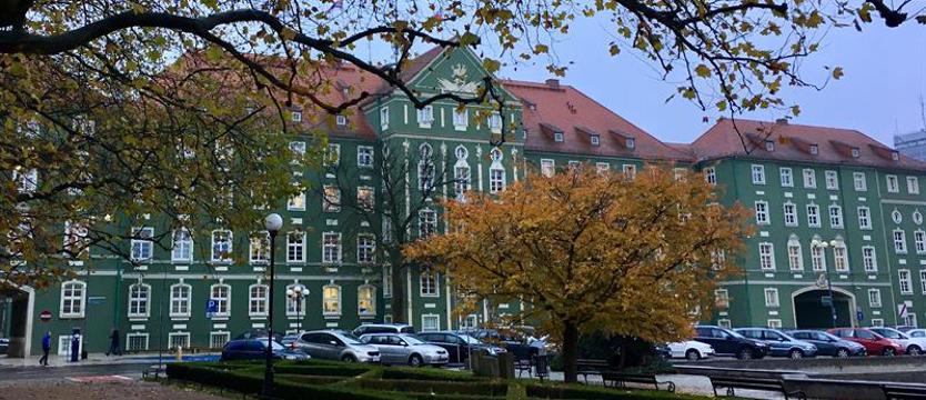 Chcą aktu zawierzenia Szczecina Matce Bożej