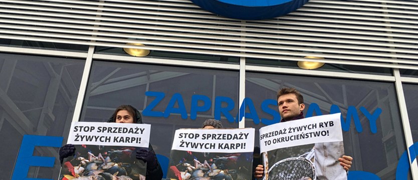Szczecińscy aktywiści protestują przeciwko sprzedaży żywych ryb
