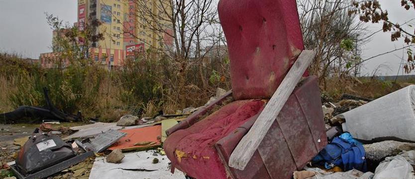 Wojna dzikim wysypiskom