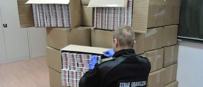 Nielegalne papierosy za 271 tys. zł w ciężarówce