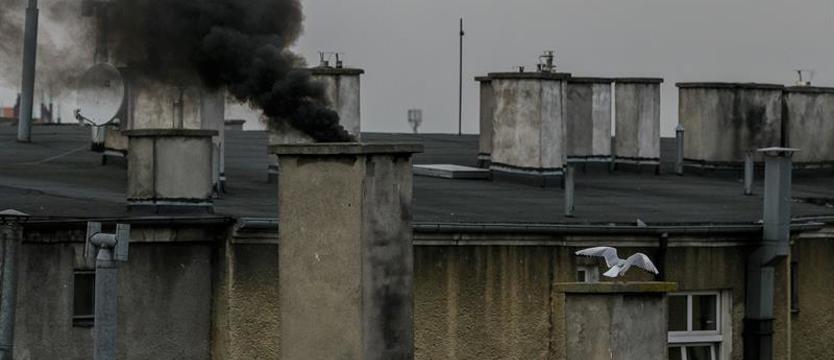Czasowo wstrzymane „Czyste Powietrze”