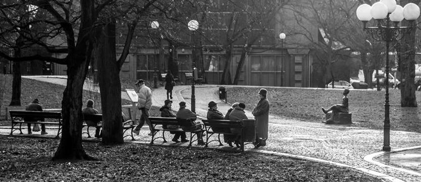 Parkowa wystawa plakatu