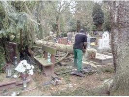 Wielkie szkody na cmentarzu