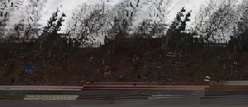 Połamane drzewa czas usunąć!