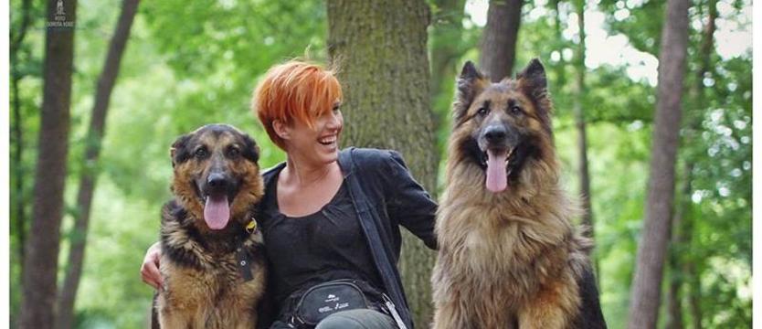 Światowy Dzień Bezdomnych Zwierząt. Twój przyjaciel czeka w schronisku