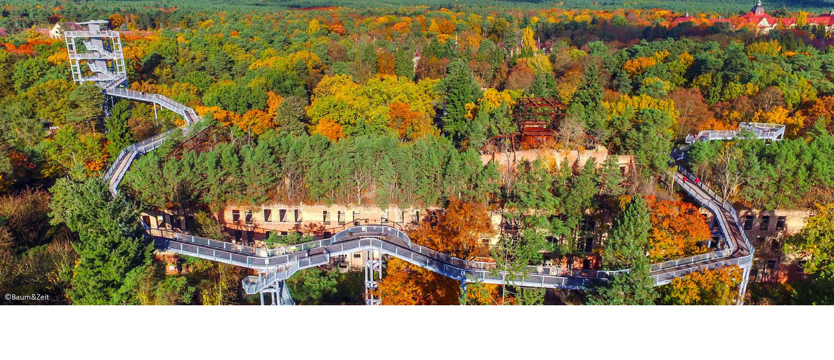 Gdzie zazwyczaj są tylko ptaki!