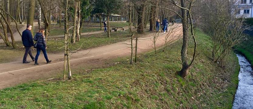 Zielone światło dla Przygodnej