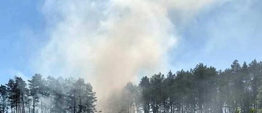 Pożar pięciu hektarów lasu w pobliżu Dzięciołowa