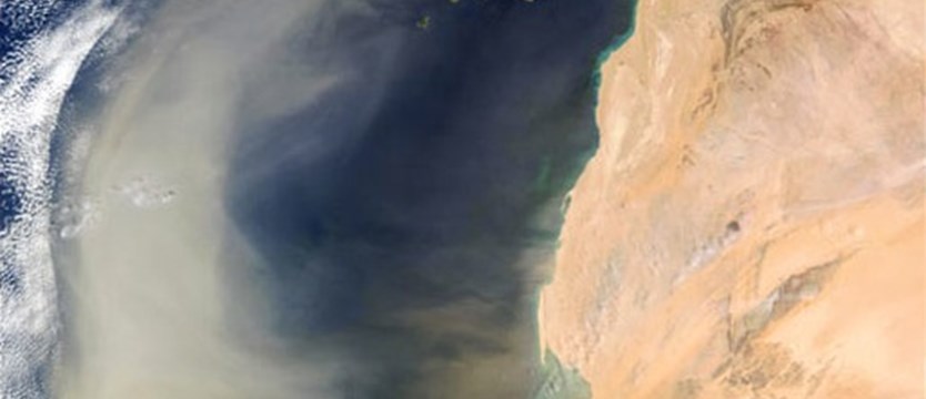 Pył znad Sahary to naturalny smog groźny dla alergików