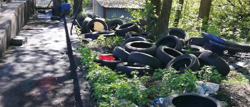 Kto rozbroi ekologiczną bombę?