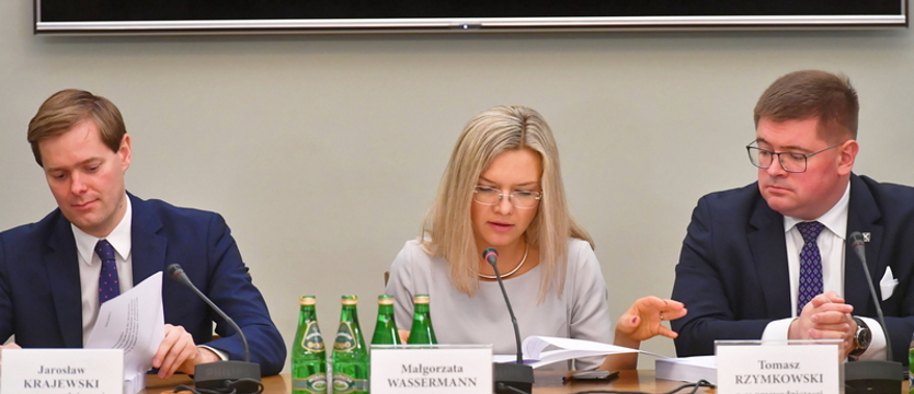 Projekt raportu komisji śledczej: Sprawa Amber Gold pokazała, że państwo było nieudolnie zarządzane