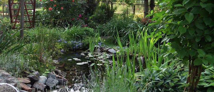 Cały Szczecin w kwiatach 2019. Czas start!