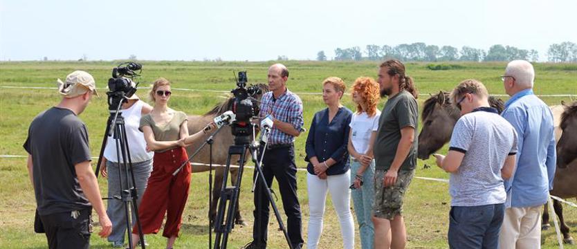 Koniki wracają do dawnego właściciela