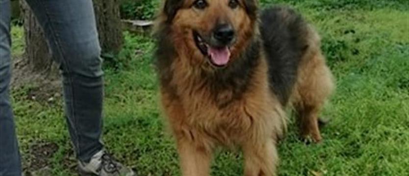 Klara jest w potrzebie