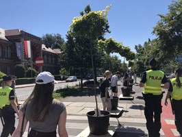 Ulica betonowa czy zielona? Marsz Wędrujących Drzew
