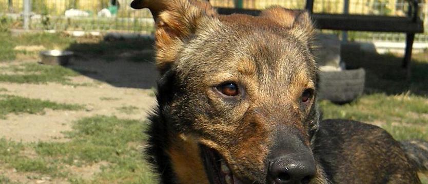 Niezwykły urok Fado