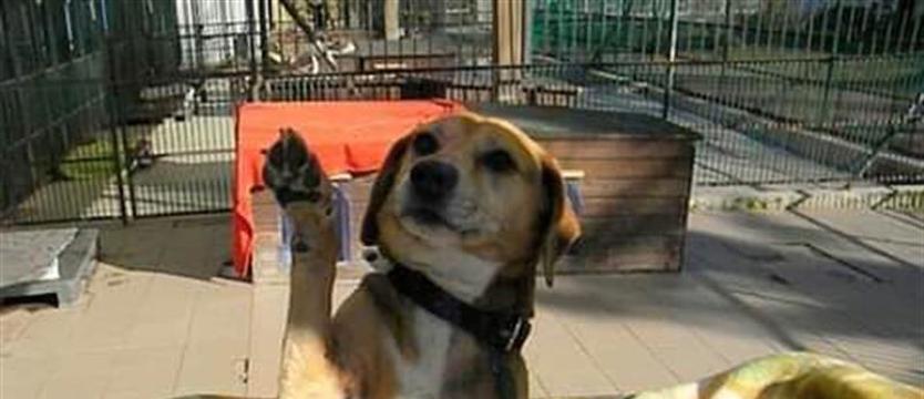 Nitka niczym bumerang