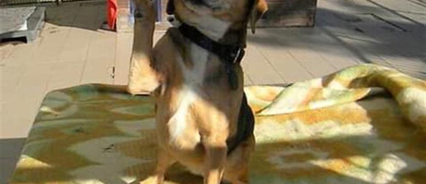 Nitka niczym bumerang