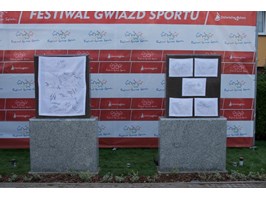 Zakończył się osiemnasty Festiwal Gwiazd Sportu