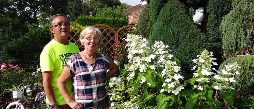 Cały Szczecin w kwiatach. W powodzi kwiatów, inspiracji i biedronek